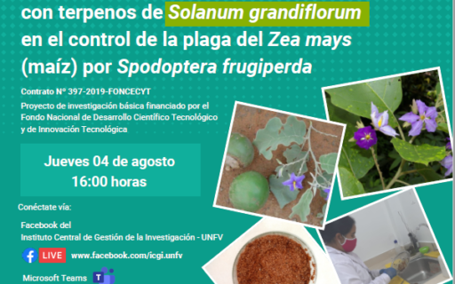 Actividad de nanoparticulas metálicas con terpenos Solanum grandiflorum en el control de la plaga del Zea mays (ma´íz) por Spodoptera frugiperda