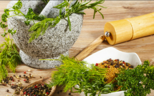 XI CONGRESO LATINOAMERICANO DE PLANTAS MEDICINALES