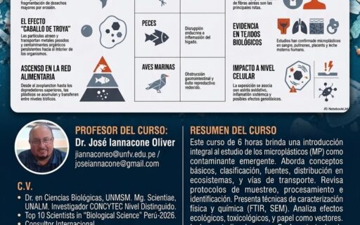 Curso PreCongreso: MICROPLÁSTICOS